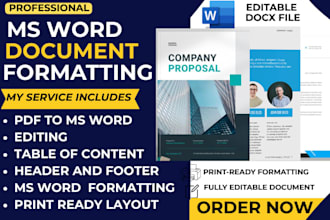 format, redesign and convert PDF to editable word