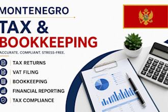manage montenegro tax returns, vat filing and bookkeeping