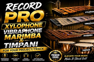 record pro xylophone vibraphone marimba timpani for your project or track
