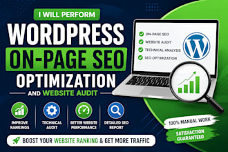 perform wordpress on page optimization and website audit