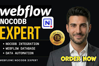setup webflow nocodb webflow database integration