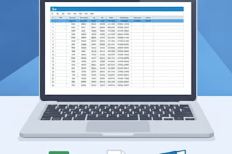 do fast and accurate data entry excel and PDF to word work