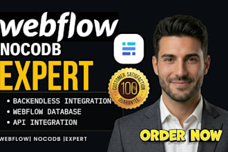 setup webflow baserow API webflow database integration