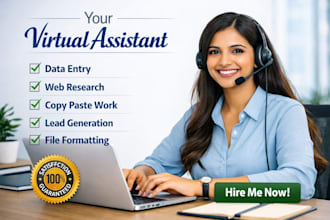do web research, data mining and accurate data entry
