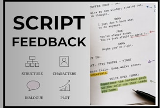 provide screenplay feedback and story editing