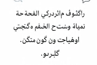 translate arabic to english accurately and fast