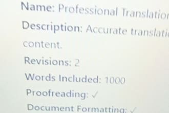 provide professional translation and localization services