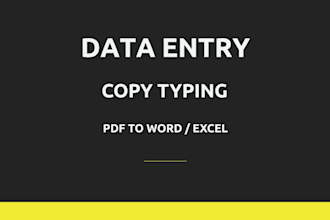 do professional copy typing, PDF to word, and fastest data entry