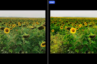 professionally edit your photos in adobe lightroom
