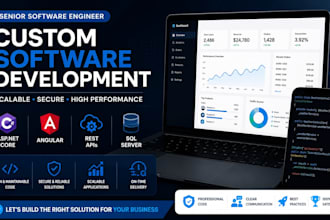 develop custom web applications and software solutions