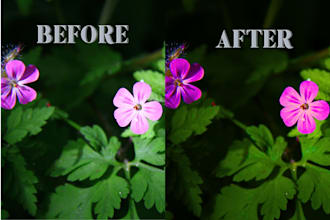 enhance and edit your photos