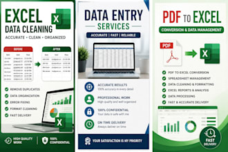 professional excel data cleaning and data entry