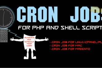 set up a cron job on your ecommerce website