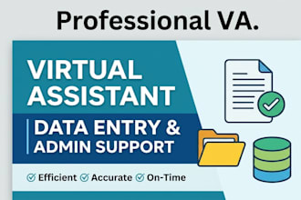 be your professional virtual assistant for data input and admin support