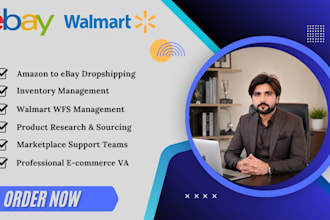 do amazon to ebay dropshipping, walmart dropshipping and wfs as VA