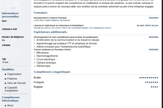 translate anything and make a professional resume in 3 languages