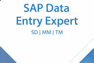 handle sap tm sd mm data entry, cleanup, upload and validation work