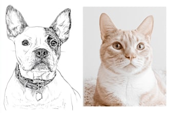 draw funny cute dog cat pet outline portrait