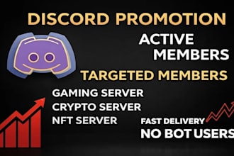 do organic discord server promotion