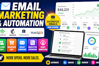 do email workflow, campaigns on klaviyo, mailchimp, hubspot and icontact