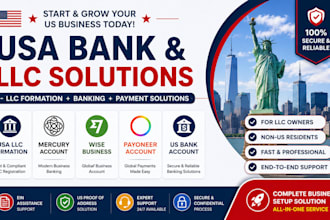 form your USA llc and set up wise, mercury, payoneer business banking
