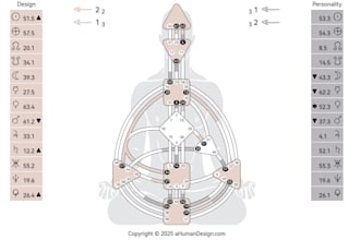 a personalized human design reading for you