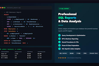 write sql queries, reports and database analysis