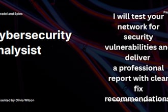 penetration testing and network security audit report