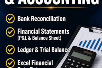 be your professional bookkeeper and financial accountant