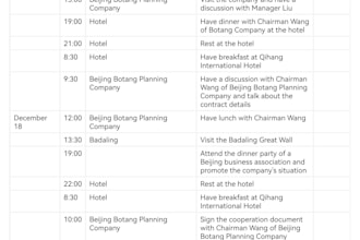 do consulting for your business travel including travel plan, tickets and hotels