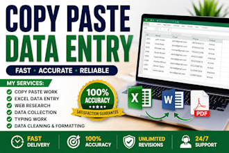 do excel data cleaning, formatting, and spreadsheet cleanup