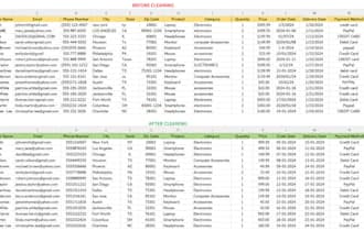 clean, format and organize excel data professionally