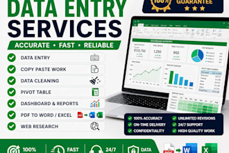 do data entry, copy paste, PDF to word and excel, excel expert
