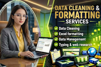 do data cleaning, excel formatting, and data management