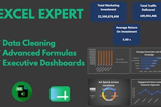 do excel data cleaning, advance formulas, pivot tables, and charts