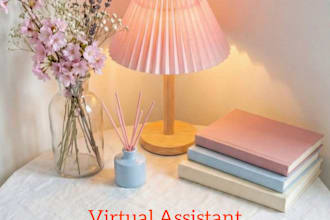 be your virtual assistant for instagram dm