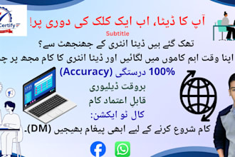 do fast and accurate urdu and english data entry