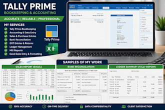 do tally prime bookkeeping, accounting and excel data entry