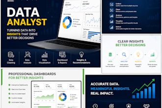 do data analytics, data visualization, and business insights