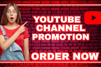 do organic youtube promotion and SEO for channel growth