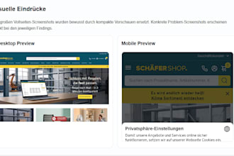 do a professional website quality audit with UX, accessibility and performance