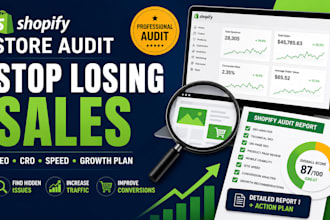 audit your shopify store and provide a growth plan
