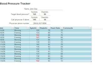professional excel spread sheet work