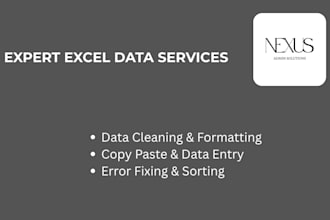 do expert excel data entry, data cleaning, and formatting