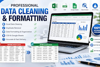 deta cleaning, deta entry, typing
