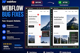 fix your webflow website bugs and responsive issues