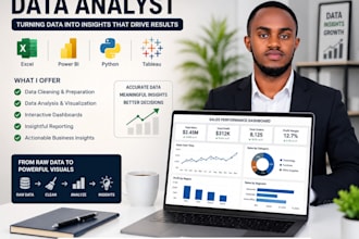 be your personal data analyst and visualization expert