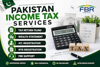 fbr income tax return filing professionally