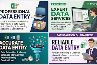 do professional data entry, excel and administrative support