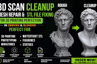 3d scan cleanup mesh repair stl file fixing in zbrush blender for 3d printing